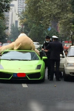 Dostał mandat, bo woził na Lamborghini… misia!