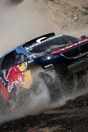 Samochody Team Peugeot Total w akcji - galeria zdjęć