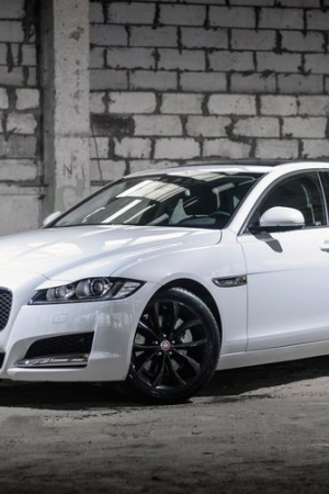 Jaguar XF (2015) 2.0 GTDi Prestige - zdjęcia