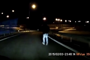 Zrobił sobie spacer po drodze ekspresowej [wideo]